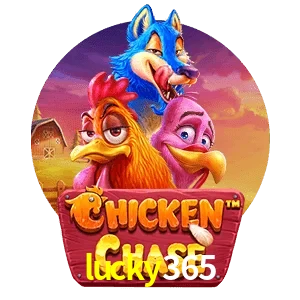 lucky365 — Chicken Chase crash game | Play on Android APK & iPhone for real money | Hacksaw Gaming
